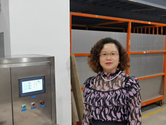 Pembersih Ultrasonik Industri Tangki Tunggal Paus Biru